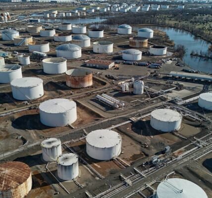 السفن الصينية منعت في مضيق هرمز